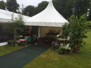 Oceanen Services Limited Pagodas  